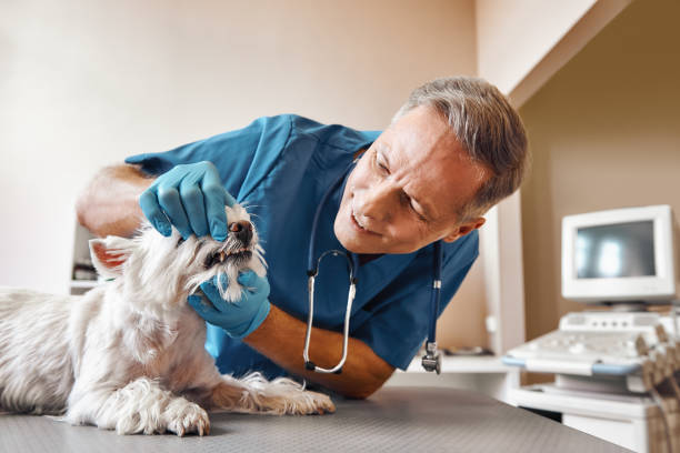 Best Emergency Broken Tooth Repair in Batesville, TX